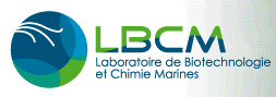 Logo LBCM